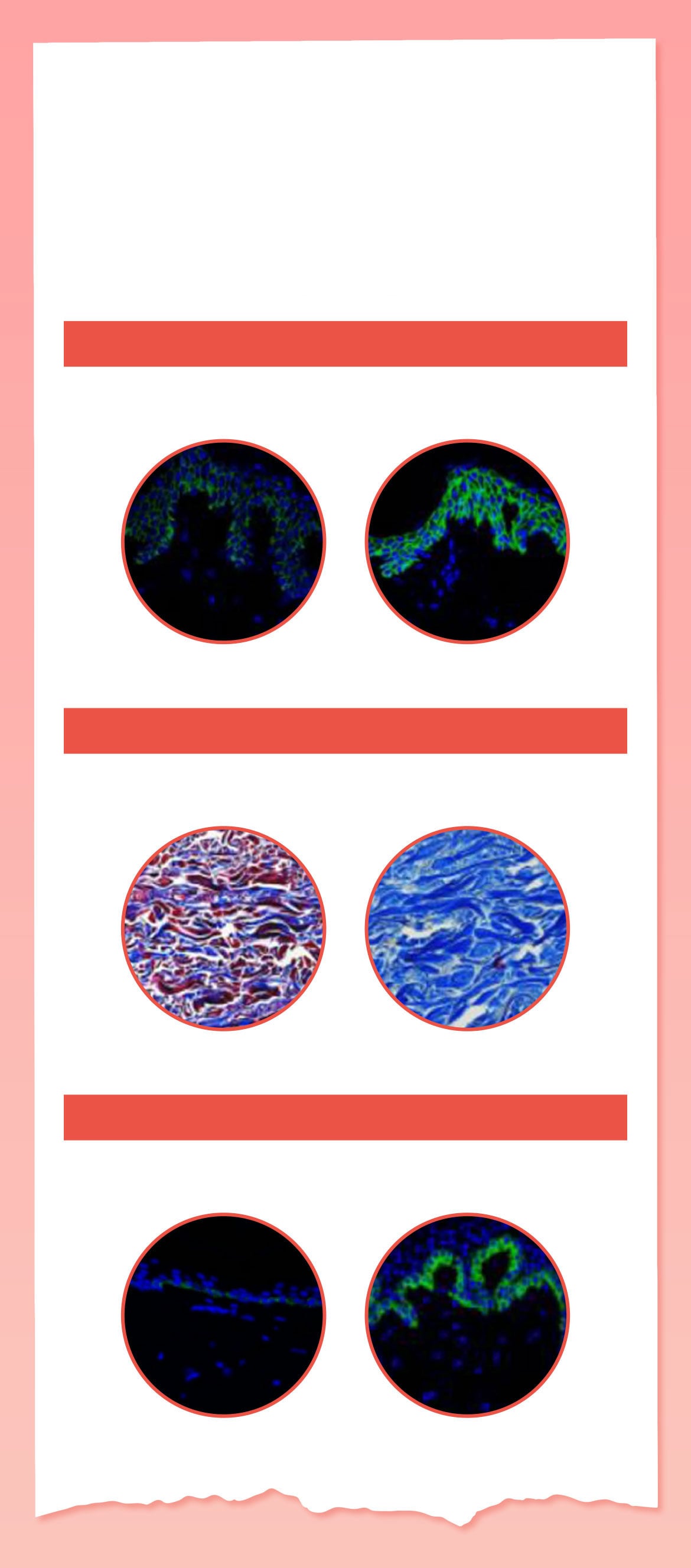 Lilied M Efficacy Evaluation