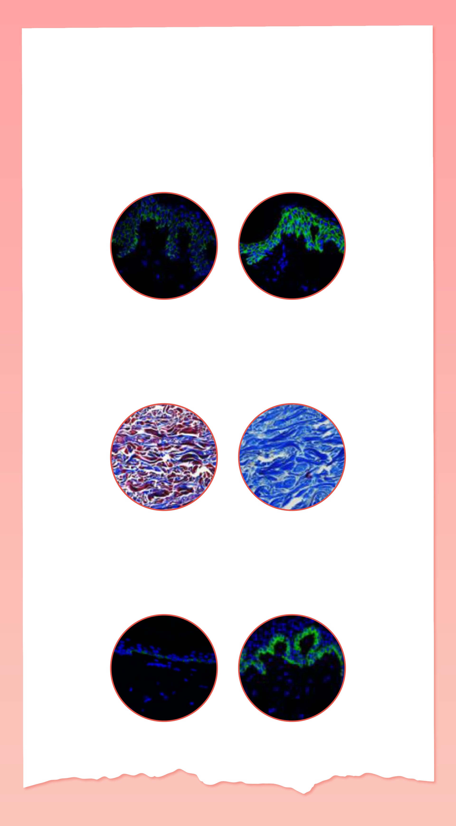 Lilied M Efficacy Evaluation