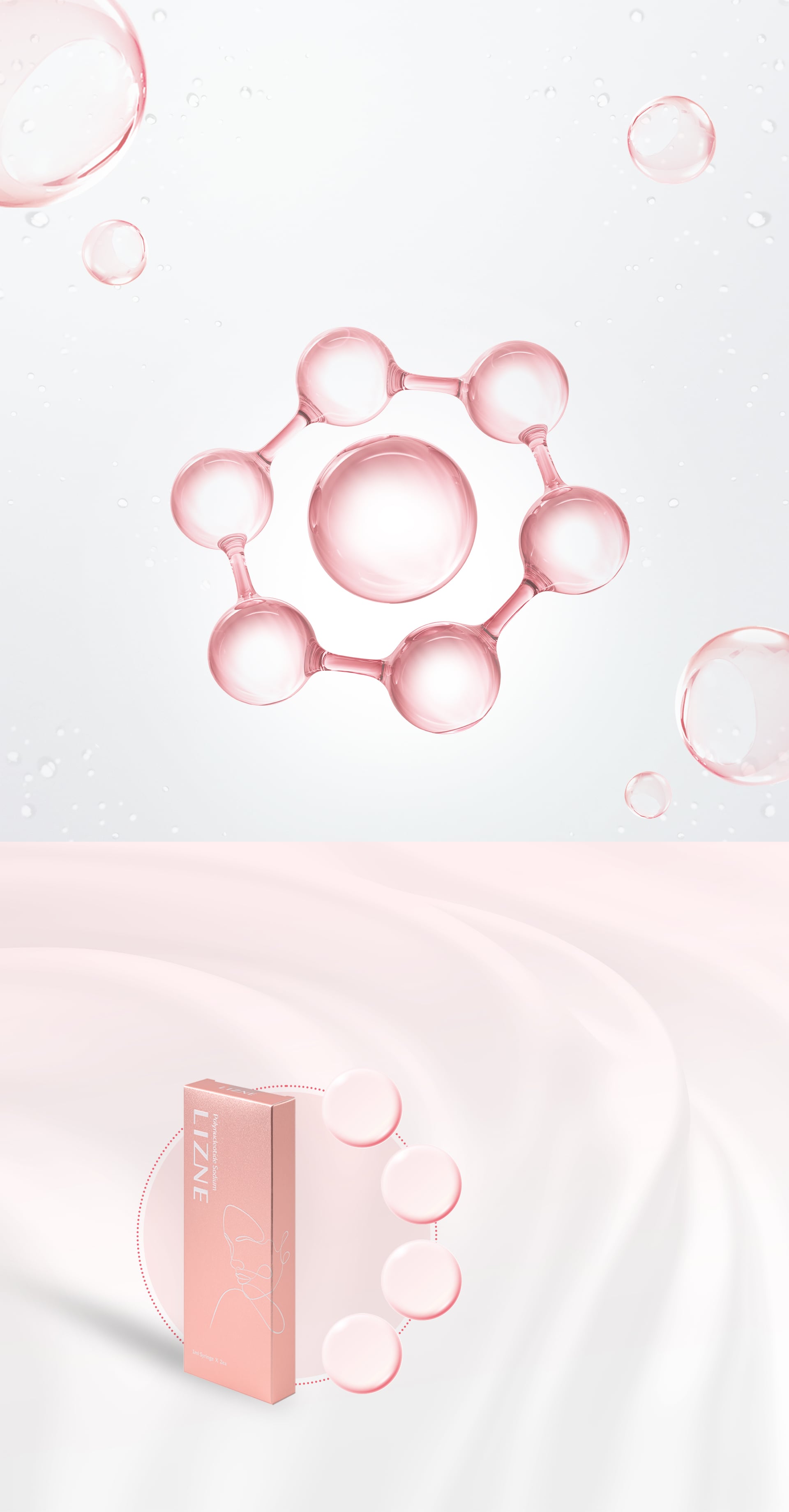 LIZNE Core Ingredient Guide